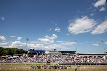 Northumberland Plate: read what connections have to say