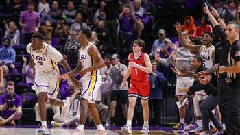 Northwestern Wildcats vs. Liberty Flames live stream, TV channel, start time, odds