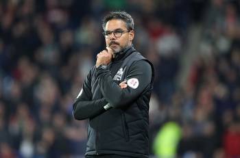 Norwich City: David Wagner confirmed as new head coach