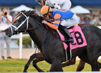 Noted A Determined Winner in Gulfstream's Pulpit