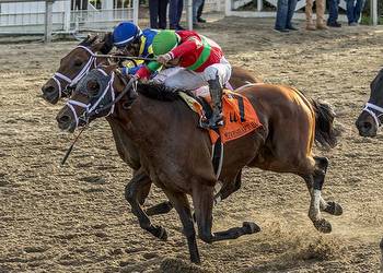 Notes & Quotes From Stakes at Fair Grounds: Pioneer of Medina, Two Emmys, Evan Sing, Lake Lucerne