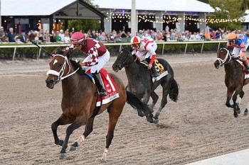 Notes from the weekend's Kentucky Derby preps * The Racing Biz