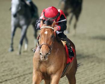 Notes, Quotes & Photos From Roxelana Stakes: Frank's Rockette