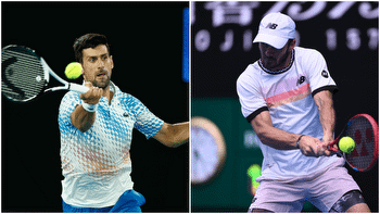 Novak Djokovic vs. Tommy Paul Australian Open Odds, Pick