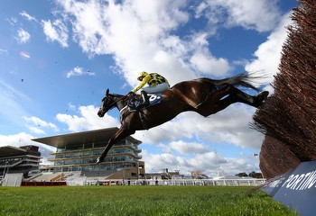 November Racing weekend at Ascot: Racing tips and preview