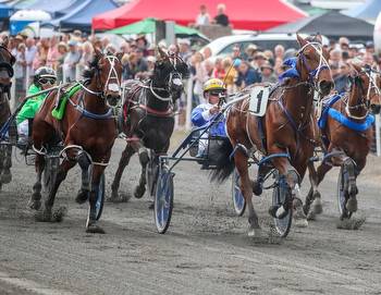 Now we get the NZ Cup we all deserve