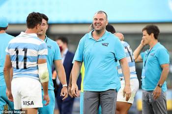 NRL: St George-Illawarra Dragons need to consider Michael Cheika for top job