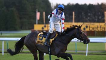 Nube Negra primed for Kempton clash with Edwardstone