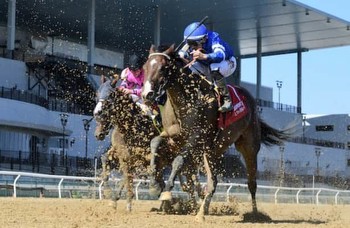 N.Y. roundup: Caramel Swirl wins Gallant Bloom after double DQ