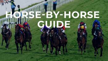 Oaks tips: Horse by horse guide and Value Bet shortlist for Matt Brocklebank