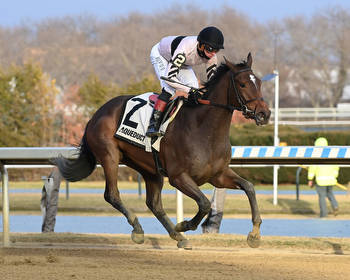 Occult Takes 2023 Kentucky Oaks Prep At Aqueduct For Chad Brown