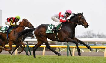 [ODDS and EVENS] Horse Racing Bloodlines of the Japan Cup