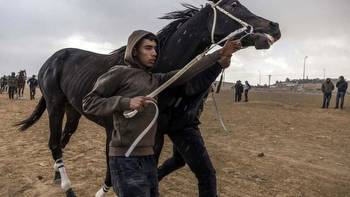 Off a desert highway, Israeli Bedouins rejoice in horse racing