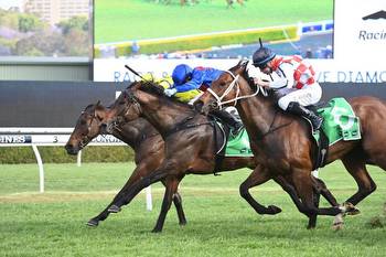 O'Hara snares another Sydney feature