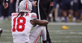 Ohio State’s loss to Michigan on Saturday is going to sting for a while