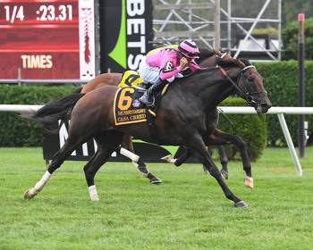 Old Man Casa Creed Doubles up on G1 Fourstardave Victories