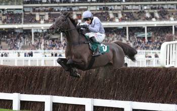Old Roan Chase tips and runners guide to Aintree 2.00 on Sunday