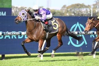 Olentia odds on in the Mona Lisa Stakes at Wyong