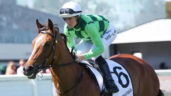 On The Punt: 2022 Geelong Cup day tips, best bets, preview