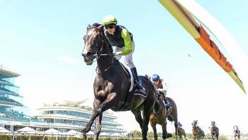 On The Punt: Tips for Sunday's meetings at Flemington and Mornington