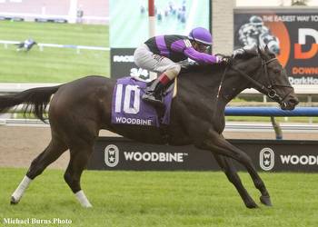Ontario Sire Heritage Series Concludes Friday At Woodbine