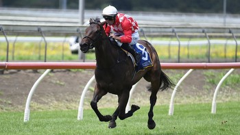 Orchestral’s comeback: From Gold Trial Stakes defeat to Karaka Millions spotlight