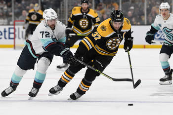 Ottawa Senators vs Boston Bruins 2/19/22 NHL Picks, Predictions, Odds