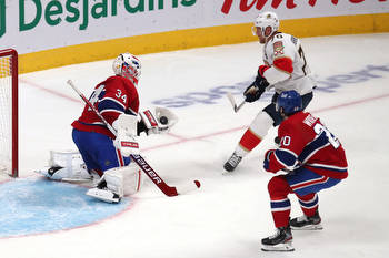 Ottawa Senators vs Florida Panthers 3/26/22 NHL Picks, Predictions, Odds