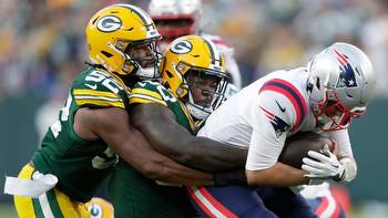 Packers Snap Counts: Reed doing more than stuffing run Wisconsin News