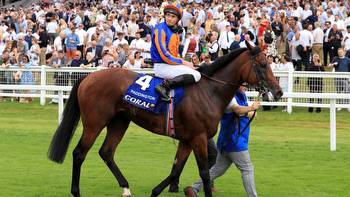 Paddington is a hot favourite for the Qatar Sussex Stakes at Goodwood