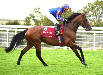 Paddington takes out the Sussex Stakes at Goodwood