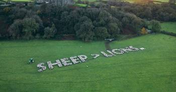 Paddy Power get behind Wales ahead of England clash with huge sign formed by sheep