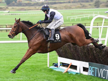 Paddy Power Gold Cup: Entries revealed for Cheltenham feature