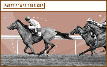 Paddy Power Gold Cup tips and predictions: Unexpected Party our pick