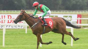 Paddy Twomey aiming to take his seat at Group 1 top table at the Curragh