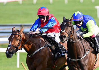 Paddy's Pick 5 tips: Best bets for Leopardstown on Tuesday