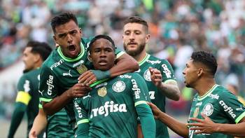 Palmeiras vs Coritiba Prediction, Betting, Tips and Odds