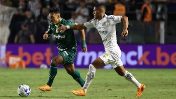 Palmeiras vs Santos Prediction, Betting, Tips, and Odds