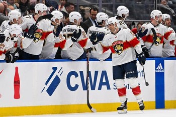 Panthers vs Lightning Prediction NHL Picks 2/17/24