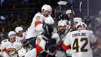 Panthers Weren't Only Ones Rejoicing After Bruins Eliminated