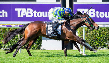 Parnham duo big movers in Northerly Stakes betting