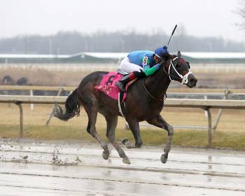 Parx: Recruiter still undefeated, more stakes on tap today * The Racing Biz