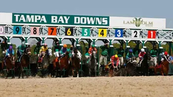 Pasco Stakes Predictions, Odds, Pick (Tampa Bay Downs)