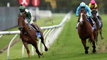 Passeggiata remains unbeaten with Rosehill win