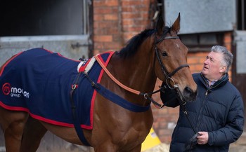 Paul Nicholls confident Bravemansgame will be in the Gold Cup mix again