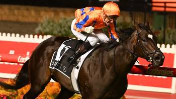 Pavitra’s trainer Richard Freedman queries the NZ credentials of Group 1 rival Prowess