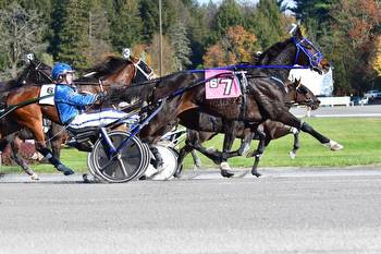 Pay Me To Knight reigns supreme at Saratoga