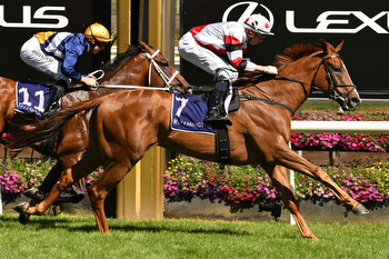 PB Lawrence Stakes Day at Caulfield Tips, Race Previews and Selections