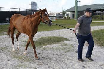 Pegasus World Cup Invitational: Free Live stream, TV schedule, how to watch