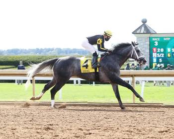 Pegasus World Cup Looks Like A Wide-Open Affair